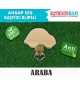 Klipsli Araba